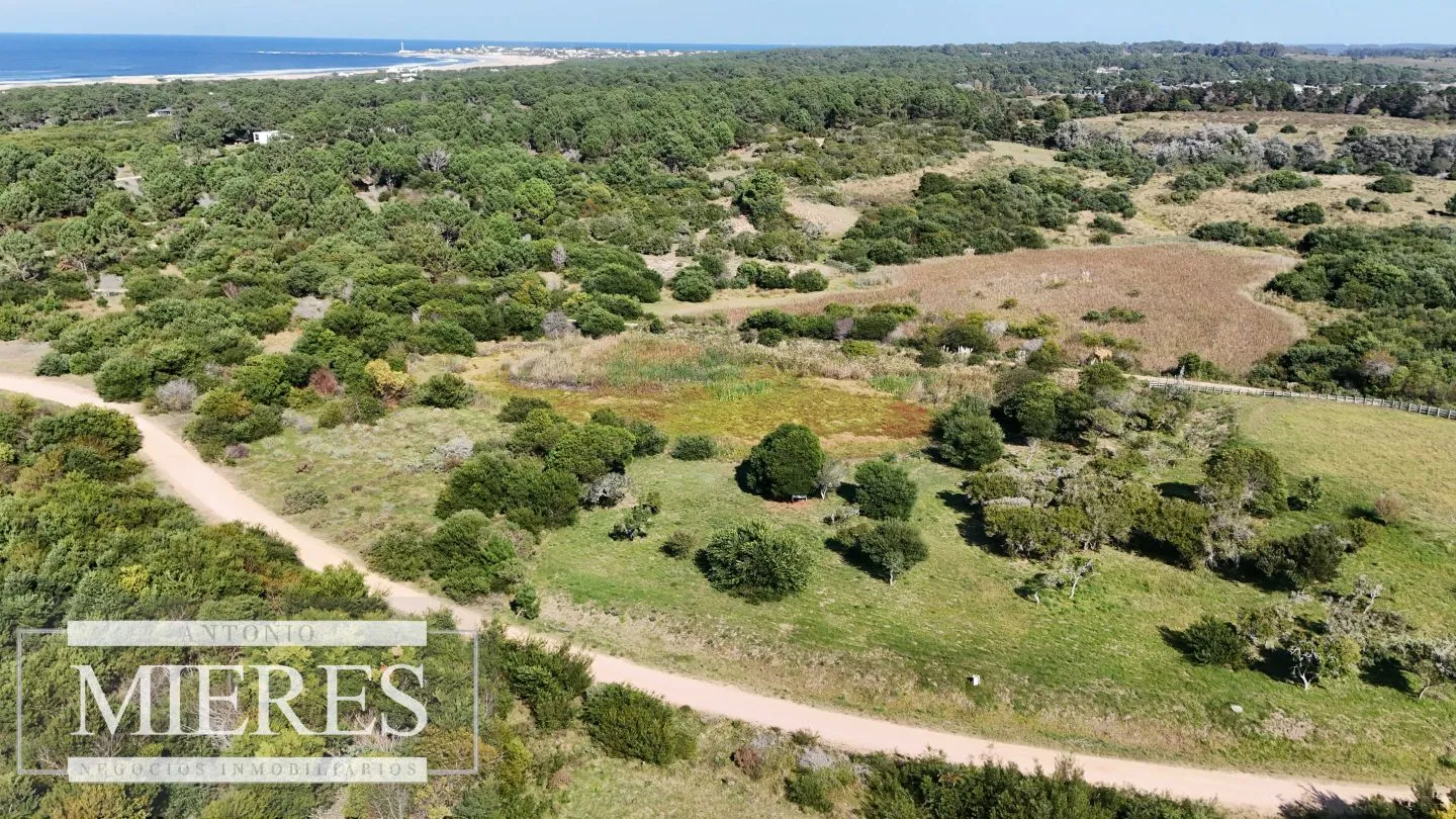 Venta de terrenos 4000m2 en zona de chacras, Jose Ignacio — foto 8
