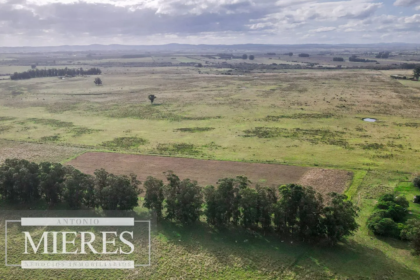 Campo de 50ha Ganadero, ubicado a 30 km de José Ignacio — foto 5