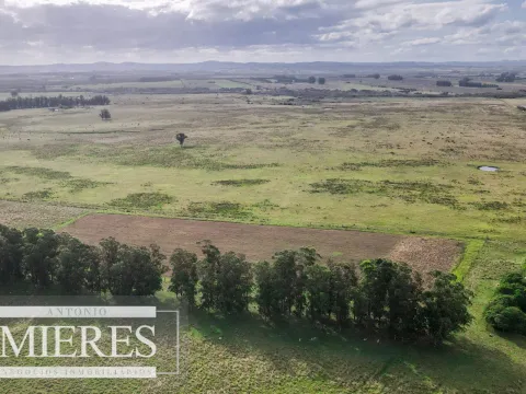 Campo de 50ha Ganadero, ubicado a 30 km de José Ignacio — foto 5