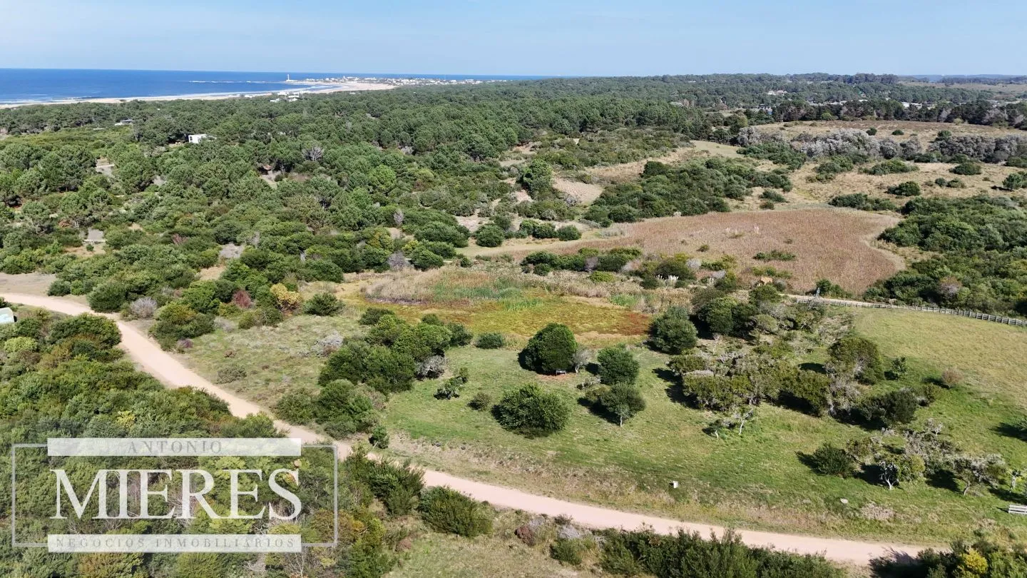 Venta de terrenos 4000m2 en zona de chacras, Jose Ignacio — foto 9