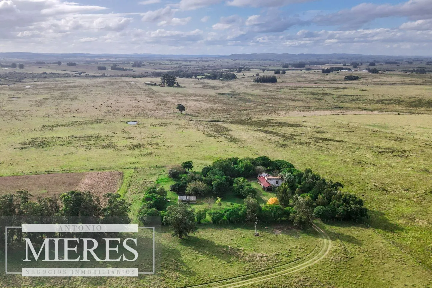 Campo de 50ha Ganadero, ubicado a 30 km de José Ignacio — foto 6
