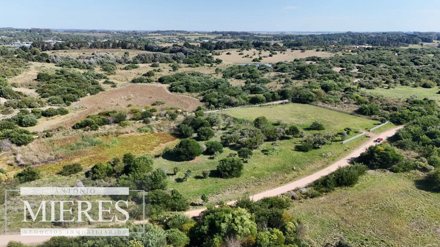 Venta de terrenos 4000m2 en zona de chacras, Jose Ignacio — foto 10