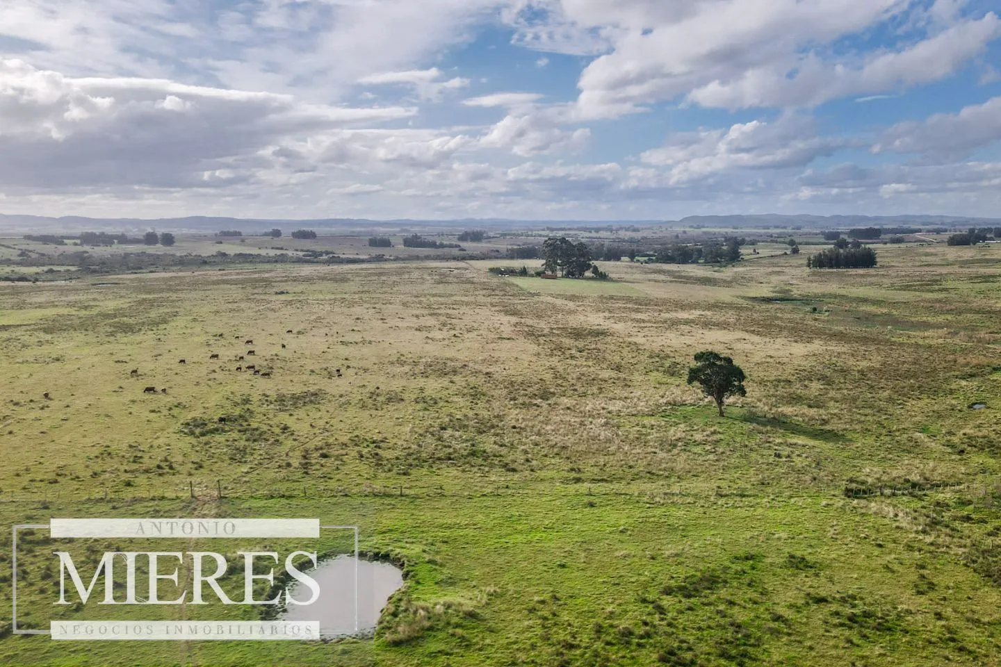 Campo de 50ha Ganadero, ubicado a 30 km de José Ignacio — foto 7