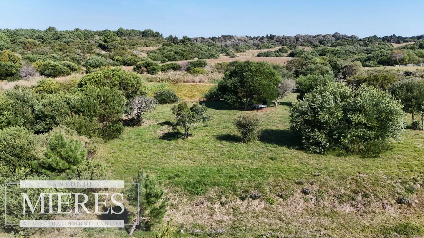 Venta de terrenos 4000m2 en zona de chacras, Jose Ignacio — foto 11