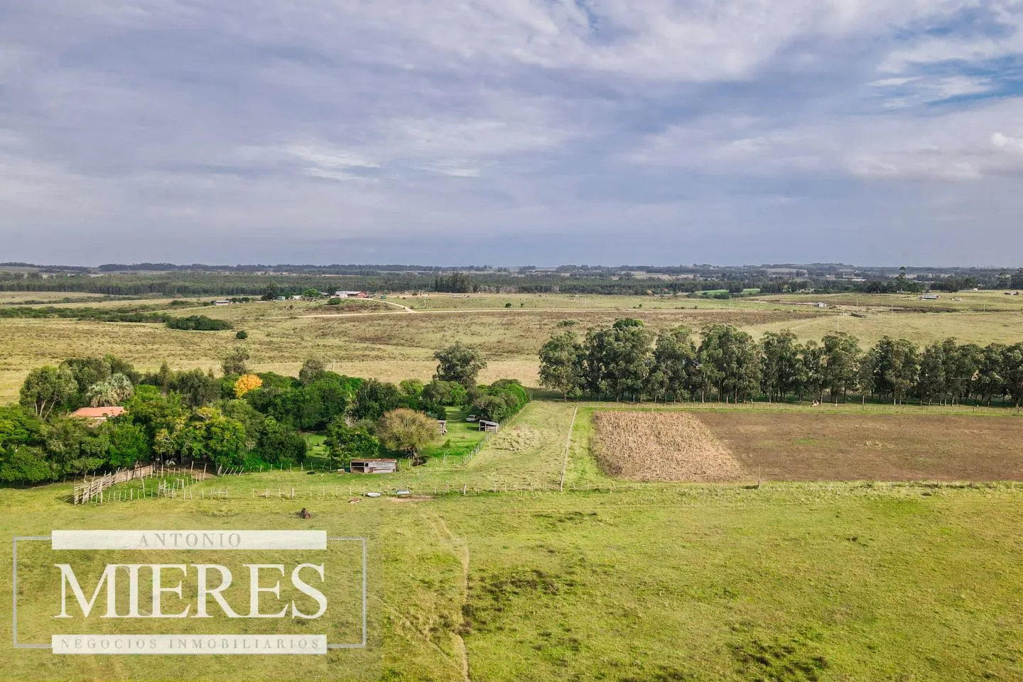 Campo de 50ha Ganadero, ubicado a 30 km de José Ignacio — foto 8