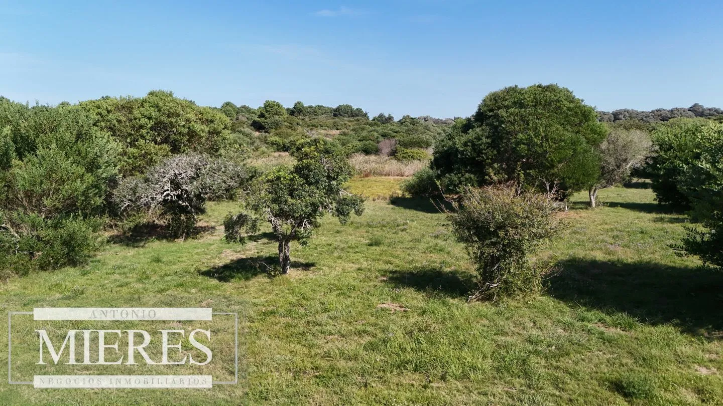 Venta de terrenos 4000m2 en zona de chacras, Jose Ignacio — foto 12