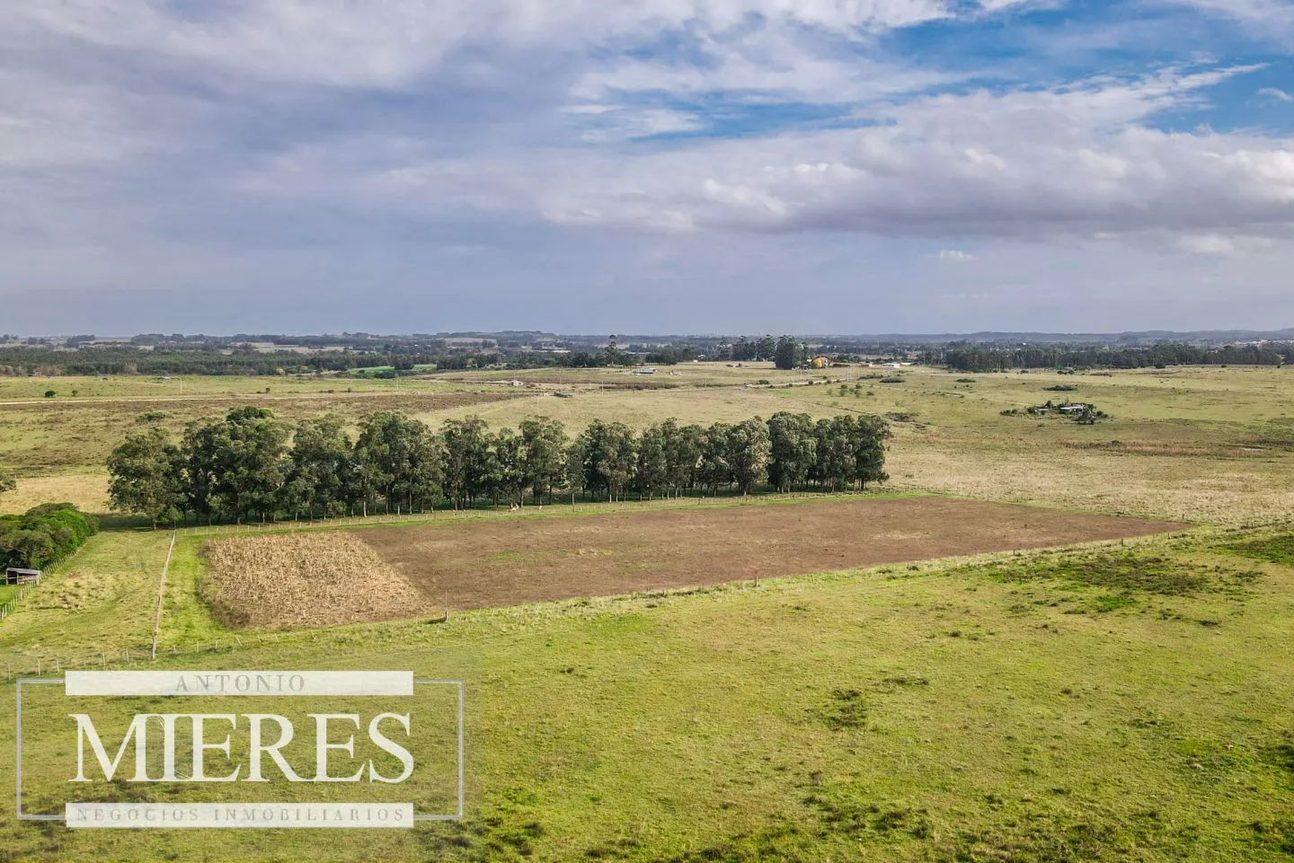 Campo de 50ha Ganadero, ubicado a 30 km de José Ignacio — foto 9