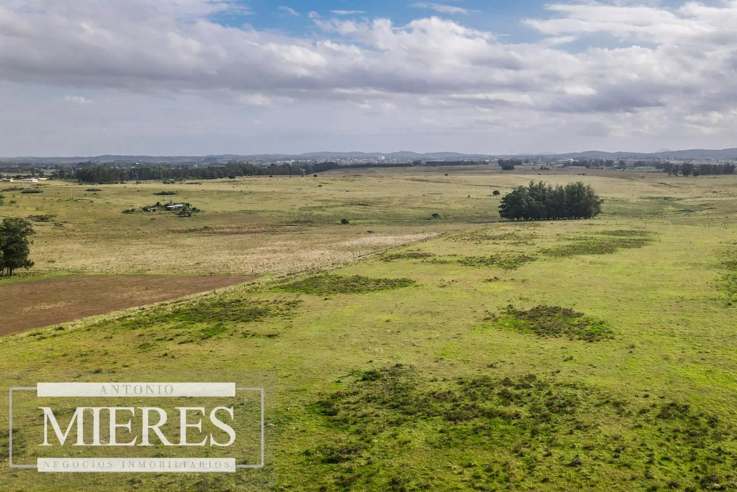 Campo de 50ha Ganadero, ubicado a 30 km de José Ignacio — foto 10