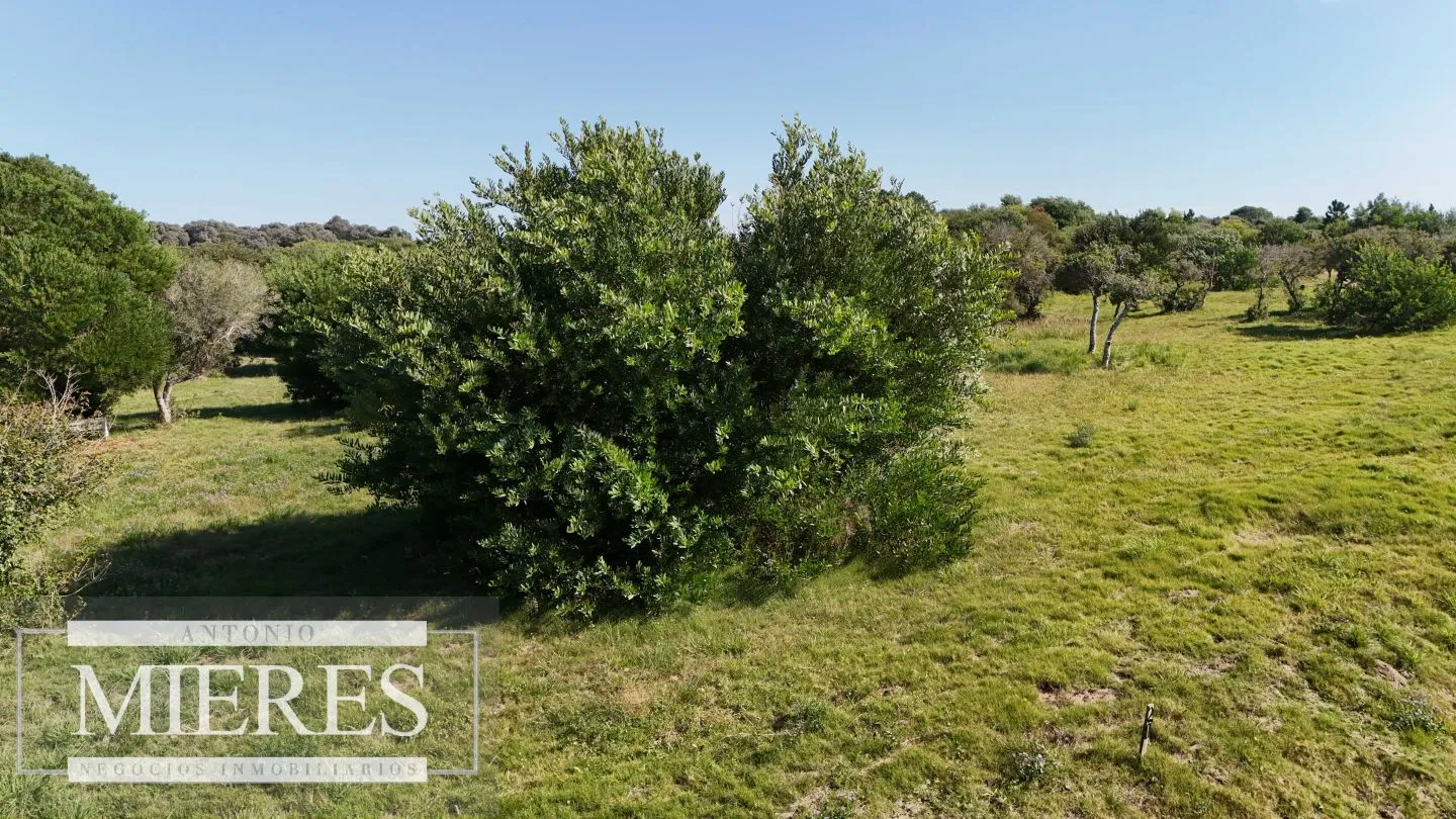 Venta de terrenos 4000m2 en zona de chacras, Jose Ignacio — foto 13