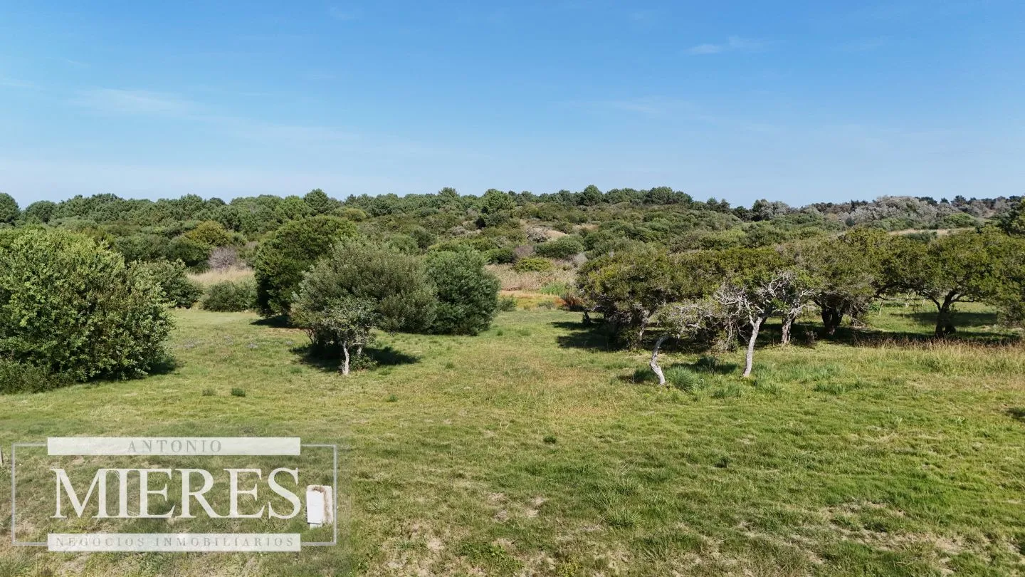 Venta de terrenos 4000m2 en zona de chacras, Jose Ignacio — foto 14