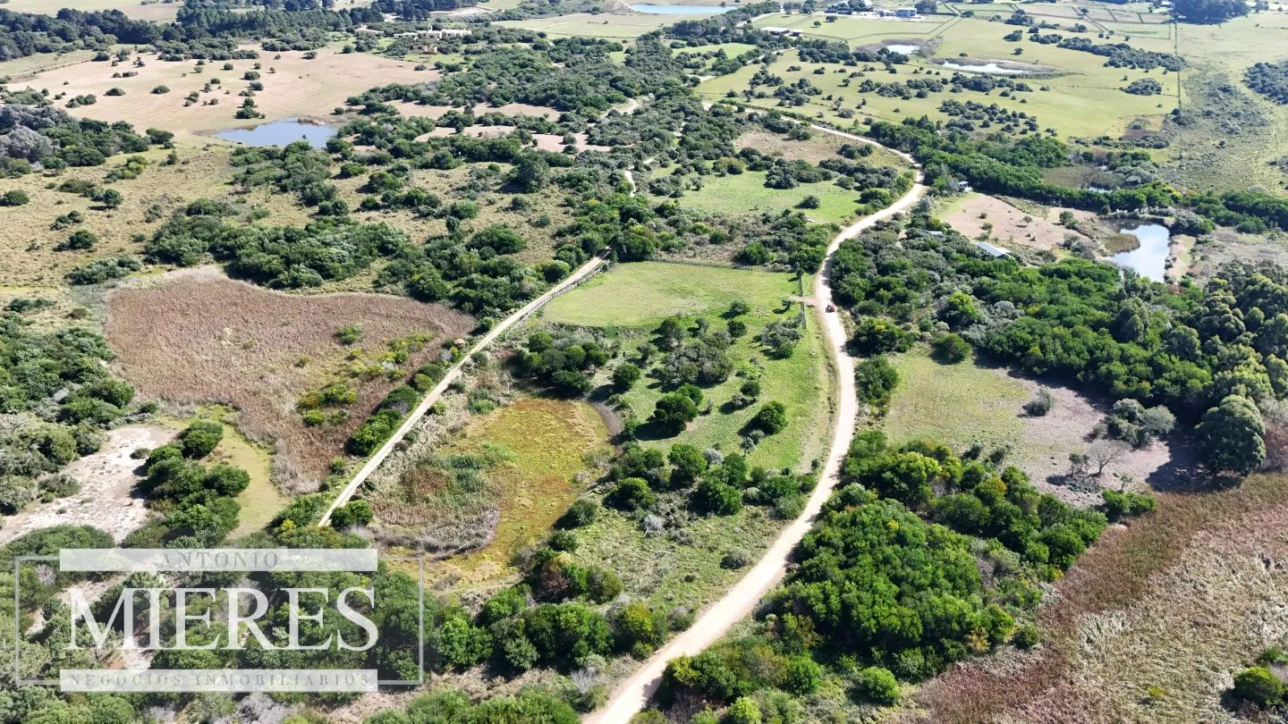 Venta de terrenos 4000m2 en zona de chacras, Jose Ignacio — foto 15