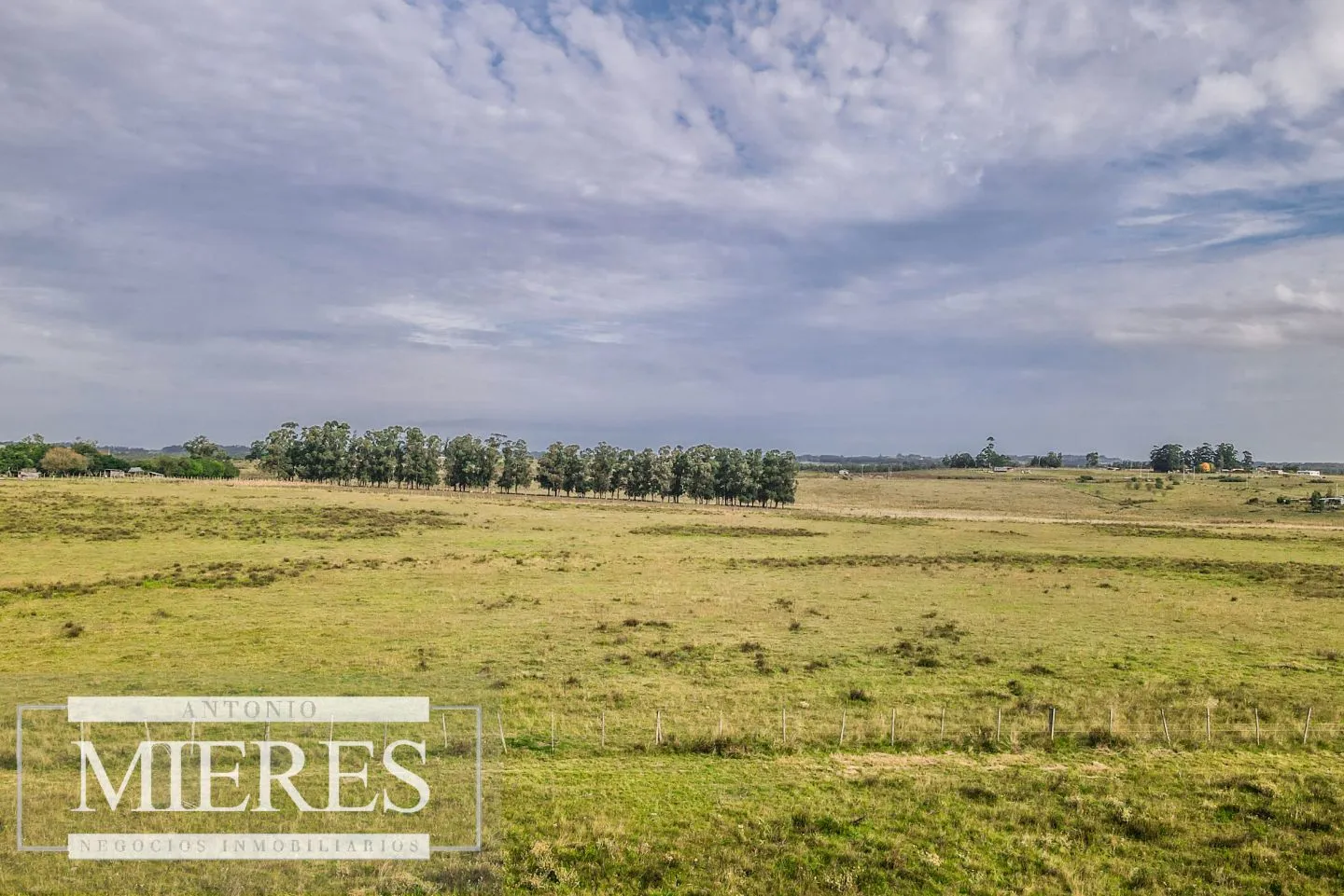 Campo de 50ha Ganadero, ubicado a 30 km de José Ignacio — foto 12
