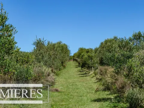 Chacra en venta de 5 ha con casa y vista a laguna del Sauce — foto 4