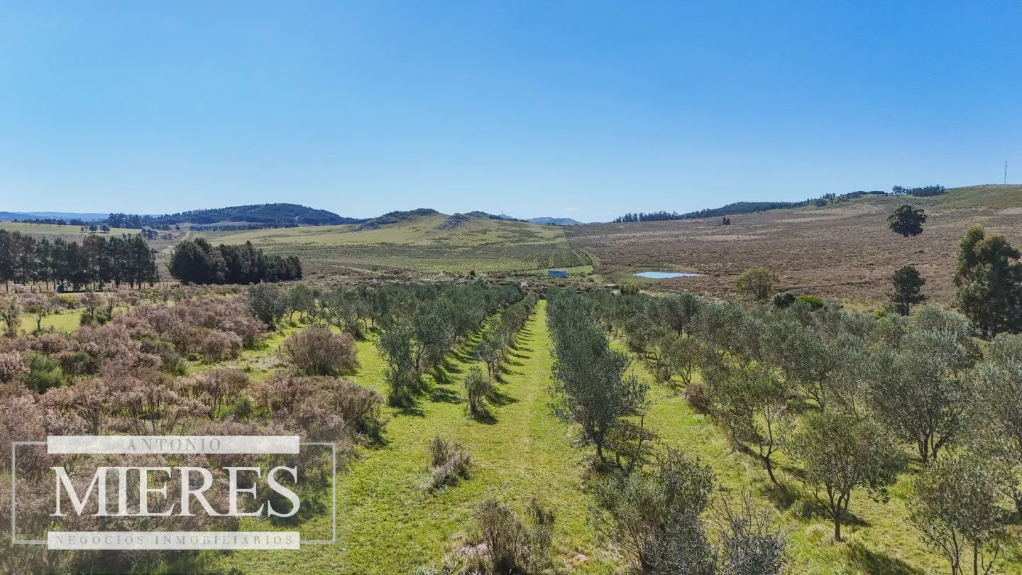 Chacra en venta de 5 ha con casa y vista a laguna del Sauce — foto 5