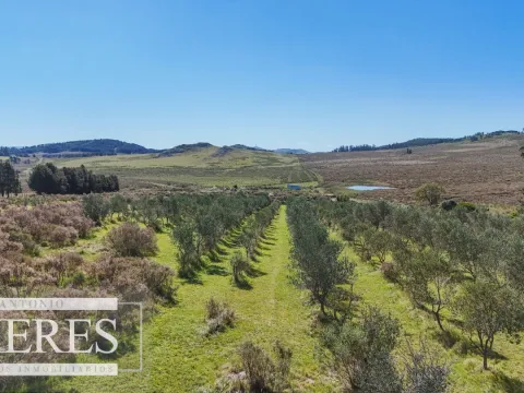 Chacra en venta de 5 ha con casa y vista a laguna del Sauce — foto 5