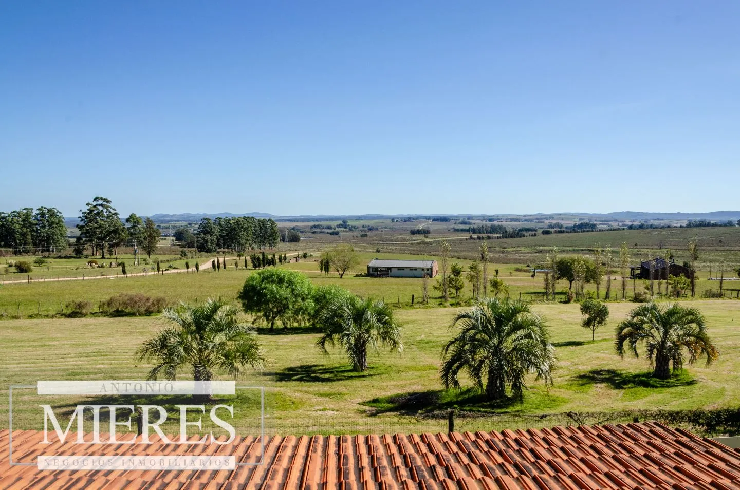 Chacra en venta de 5 ha con casa y vista a laguna del Sauce — foto 19