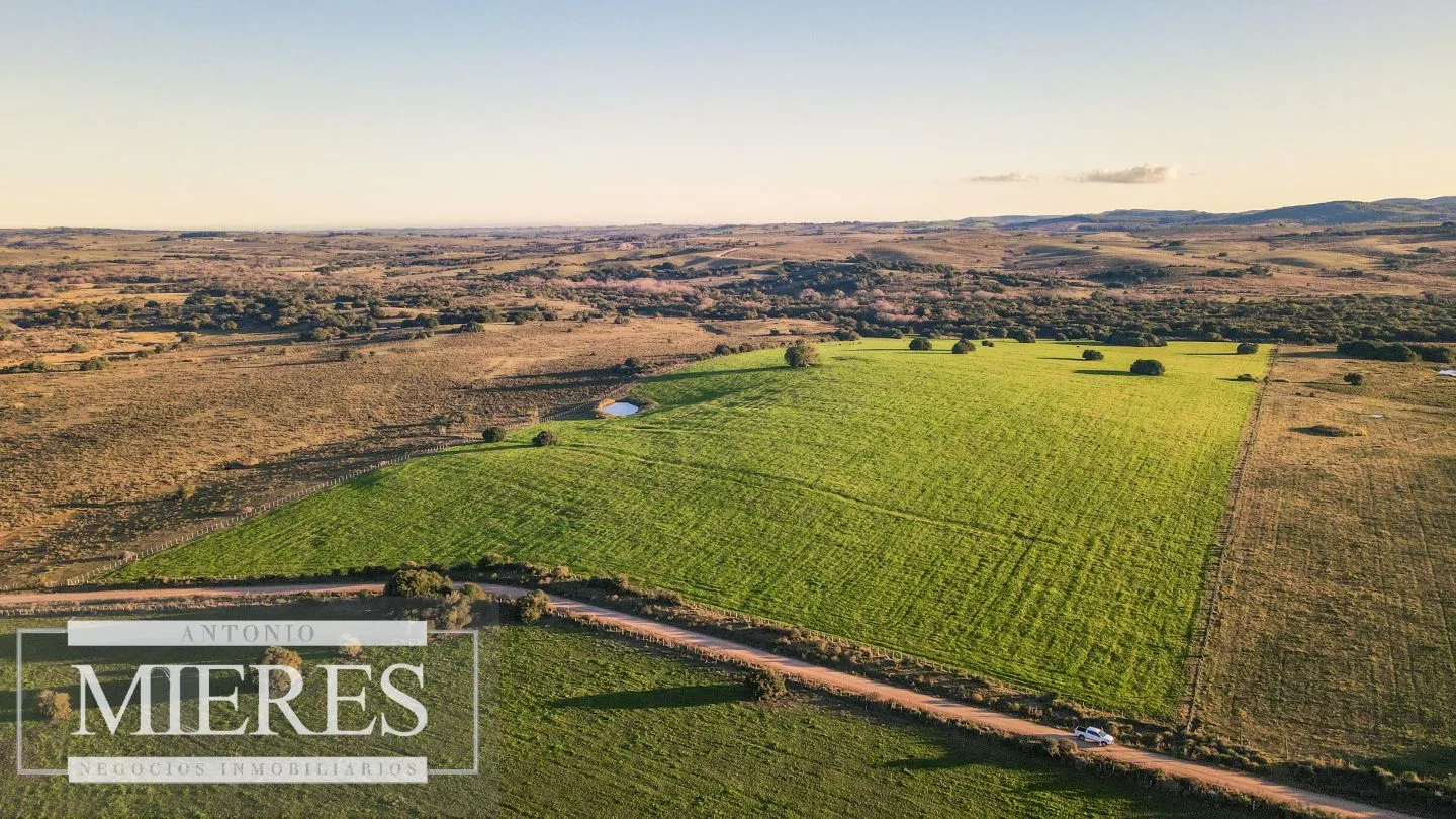 Campo en venta de 20 ha con costa al arroyo José Ignacio — foto 1