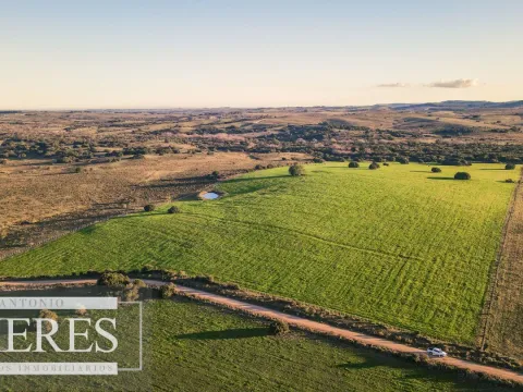 Campo en venta de 20 ha con costa al arroyo José Ignacio