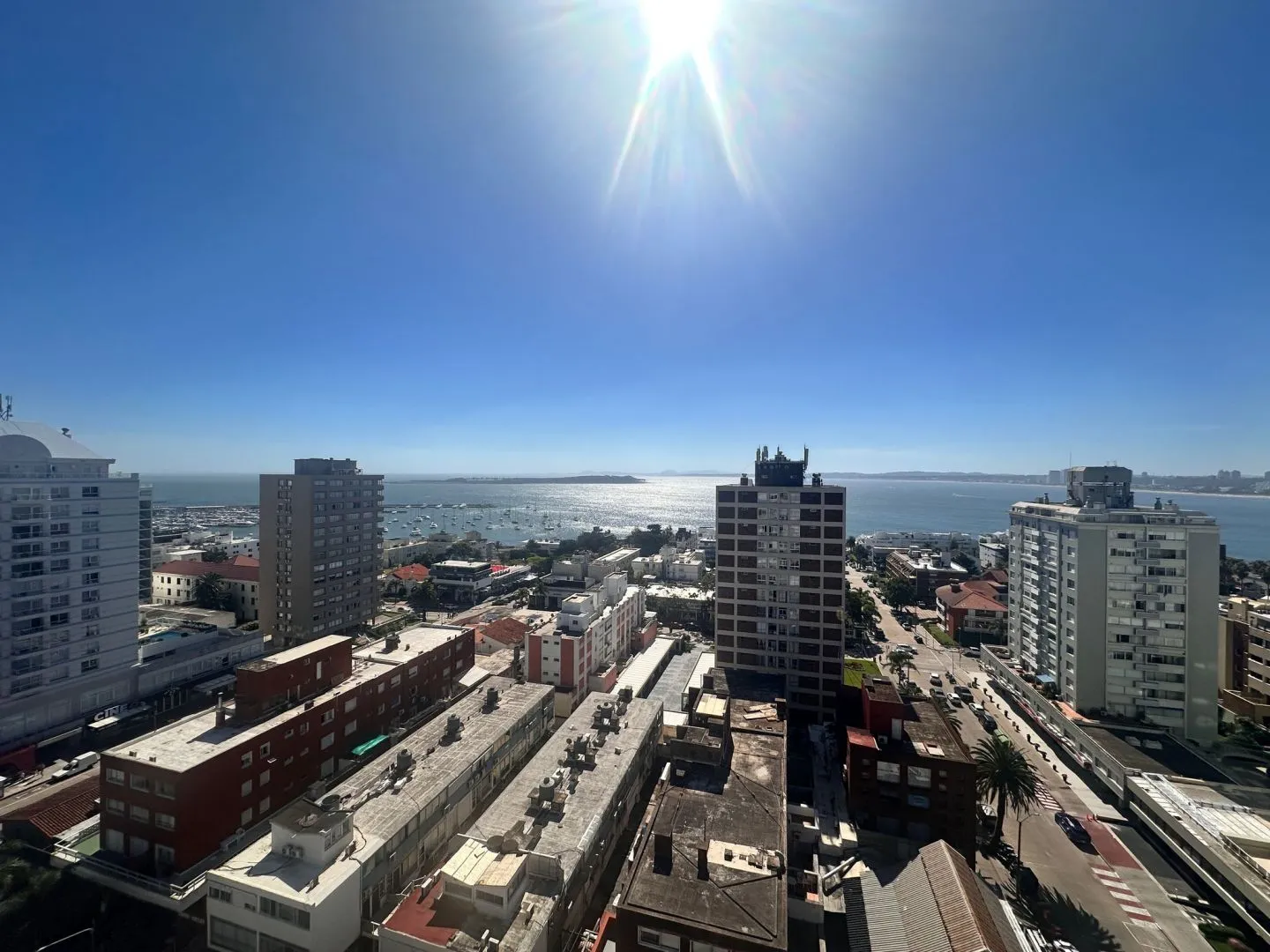 Venta apartamento 1 dormitorio Península — foto 13