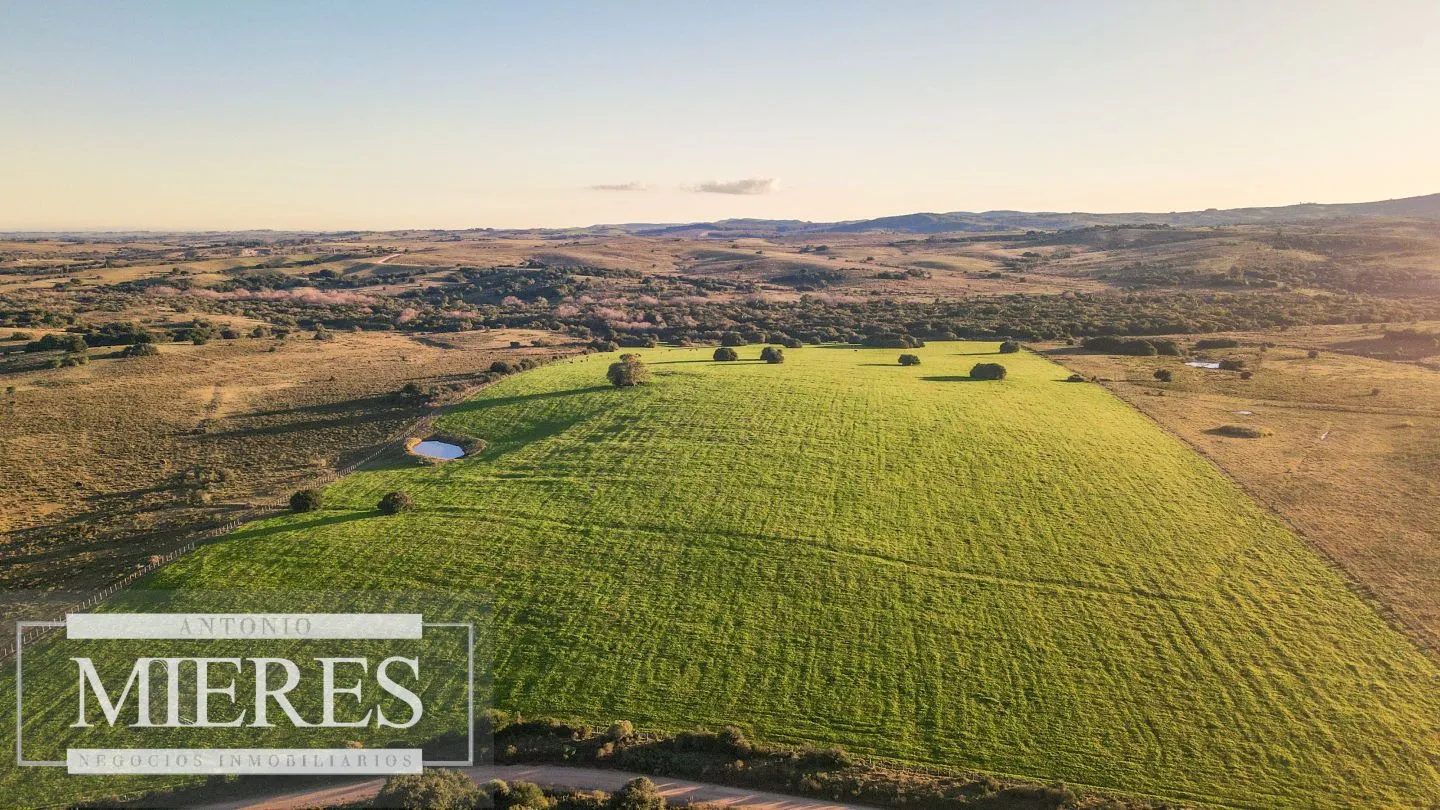 Campo en venta de 20 ha con costa al arroyo José Ignacio — foto 2