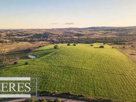 Campo en venta de 20 ha con costa al arroyo José Ignacio — foto 2