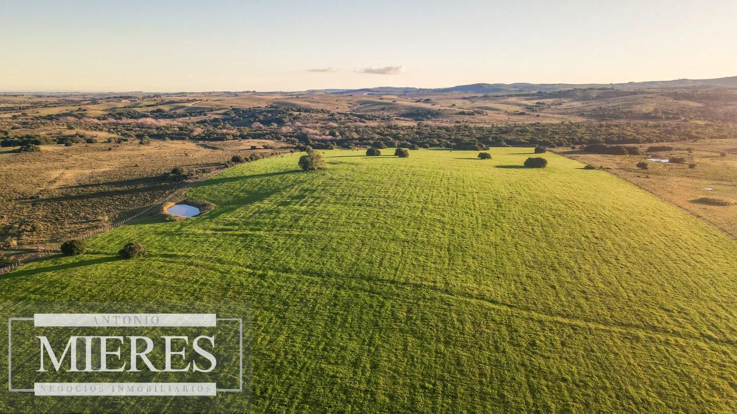 Campo en venta de 20 ha con costa al arroyo José Ignacio — foto 3