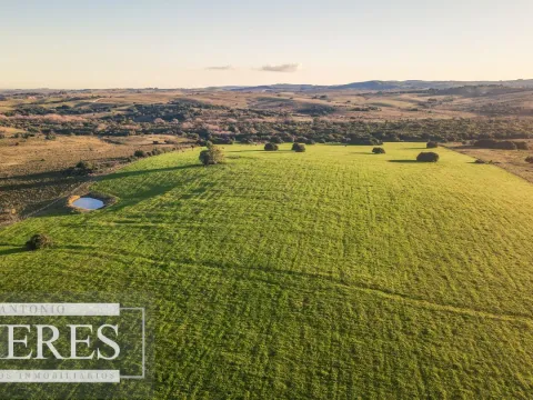 Campo en venta de 20 ha con costa al arroyo José Ignacio — foto 3
