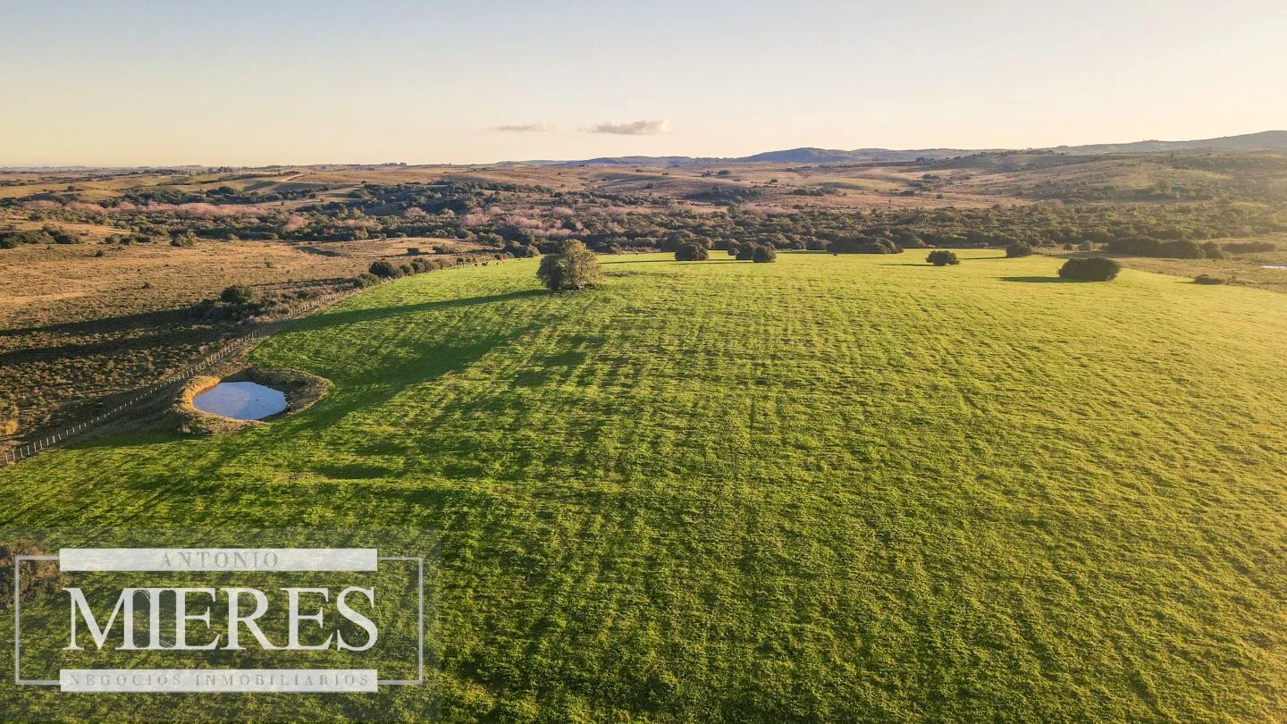 Campo en venta de 20 ha con costa al arroyo José Ignacio — foto 4