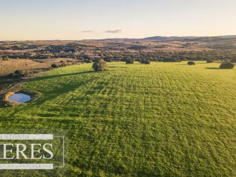Campo en venta de 20 ha con costa al arroyo José Ignacio — foto 4