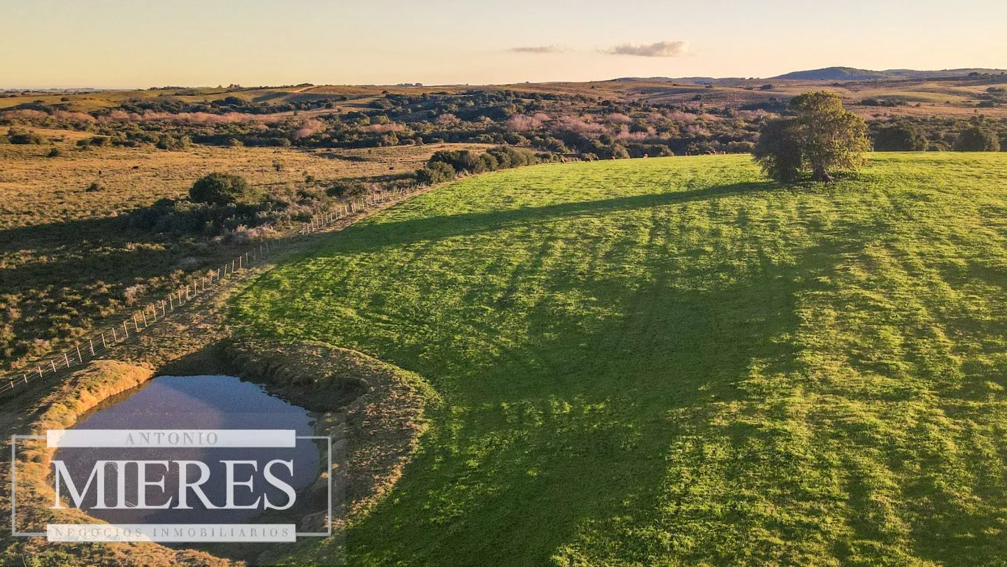 Campo en venta de 20 ha con costa al arroyo José Ignacio — foto 5