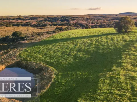 Campo en venta de 20 ha con costa al arroyo José Ignacio — foto 5