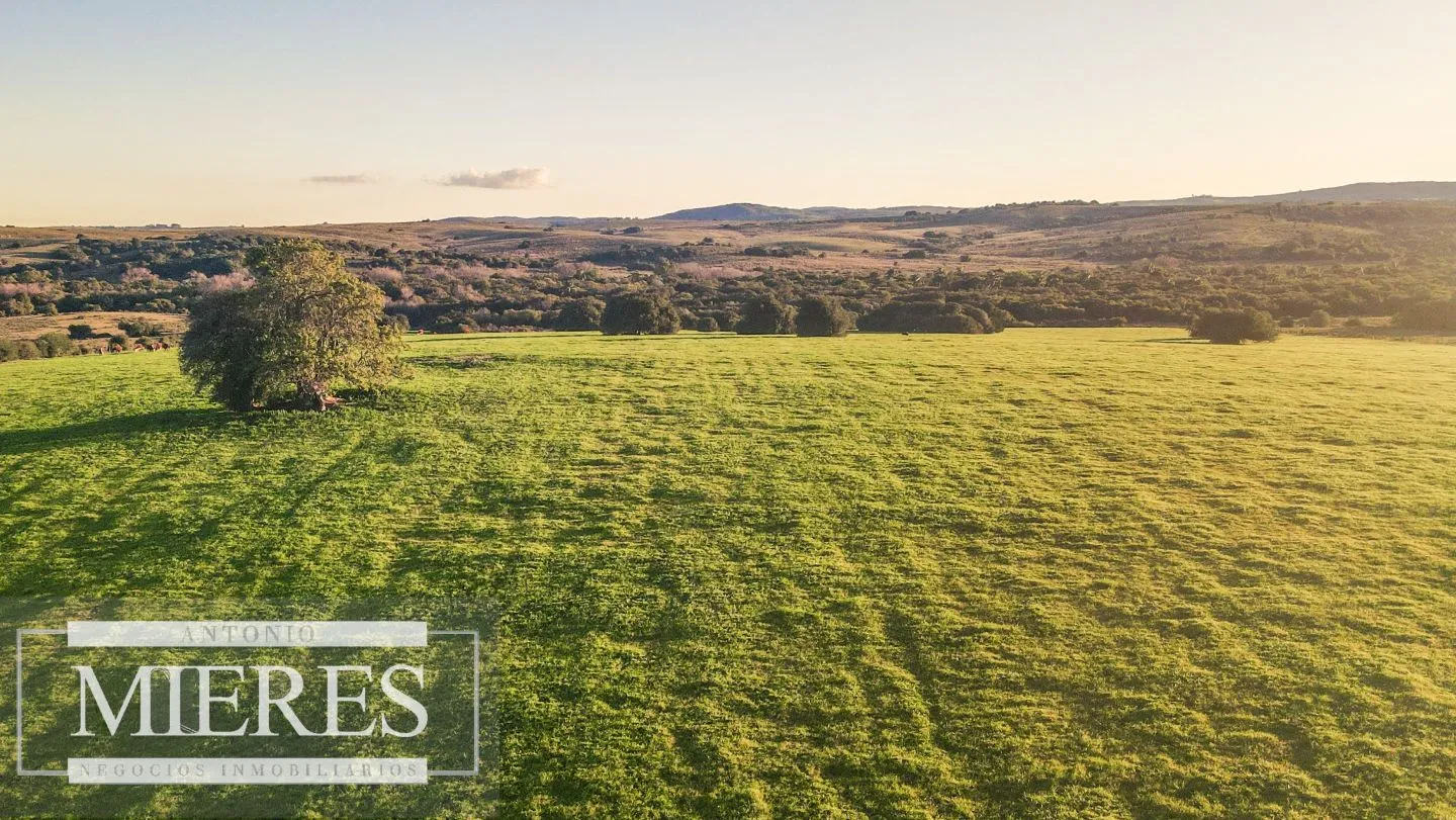 Campo en venta de 20 ha con costa al arroyo José Ignacio — foto 6