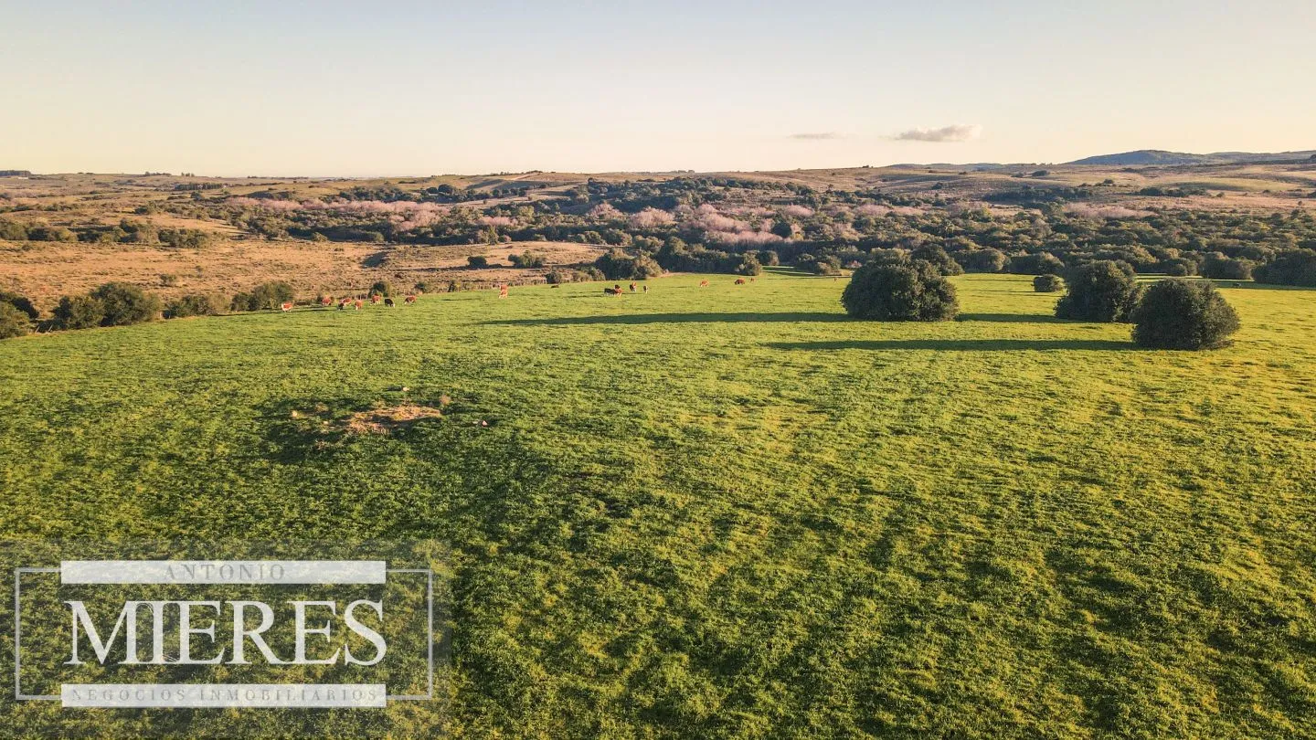 Campo en venta de 20 ha con costa al arroyo José Ignacio — foto 7