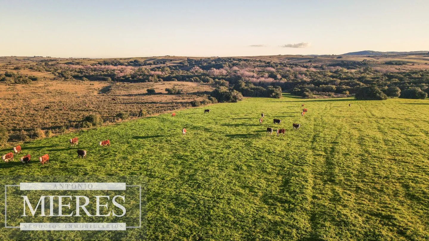 Campo en venta de 20 ha con costa al arroyo José Ignacio — foto 8