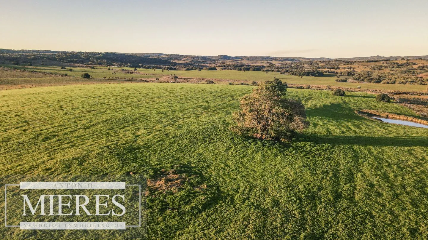 Campo en venta de 20 ha con costa al arroyo José Ignacio — foto 9