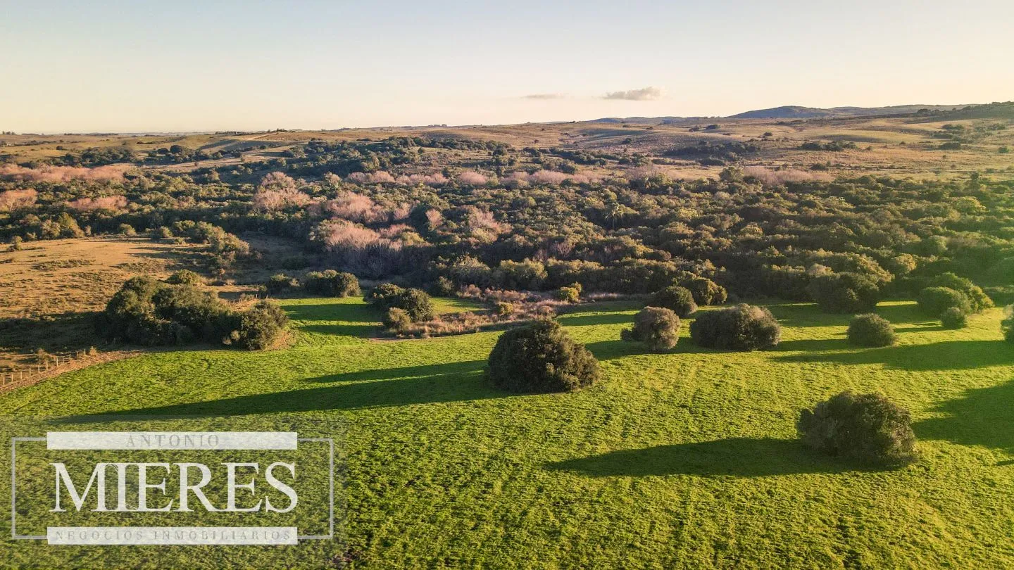 Campo en venta de 20 ha con costa al arroyo José Ignacio — foto 11