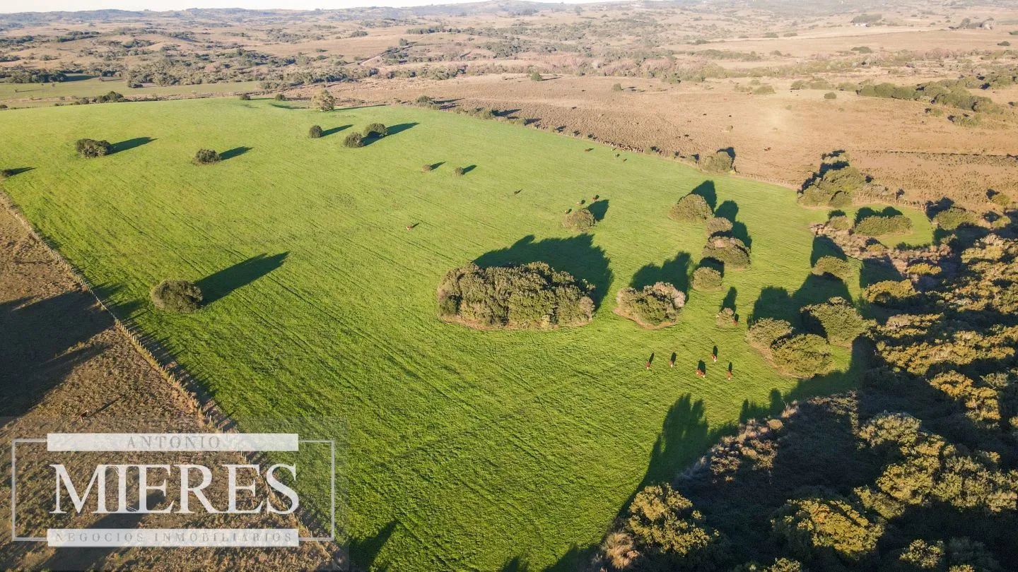 Campo en venta de 20 ha con costa al arroyo José Ignacio — foto 12