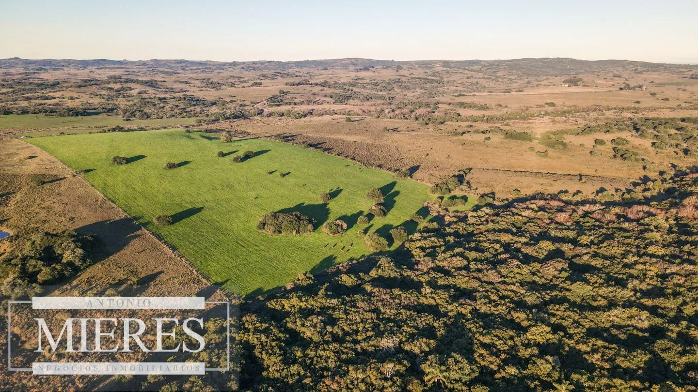 Campo en venta de 20 ha con costa al arroyo José Ignacio — foto 13