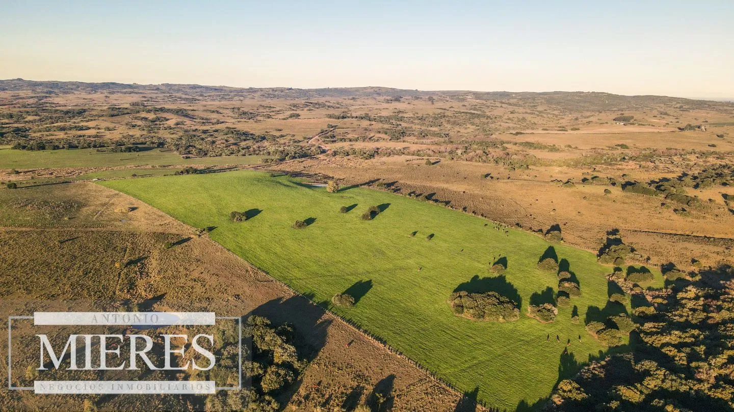 Campo en venta de 20 ha con costa al arroyo José Ignacio — foto 14