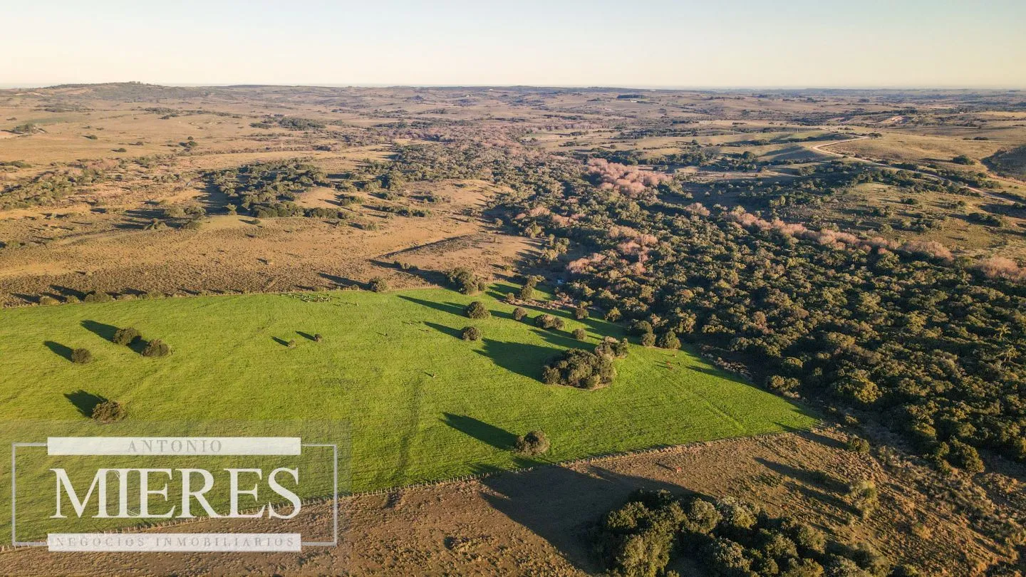 Campo en venta de 20 ha con costa al arroyo José Ignacio — foto 15