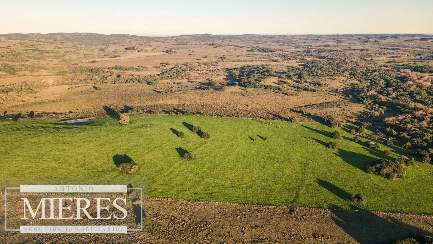Campo en venta de 20 ha con costa al arroyo José Ignacio — foto 16