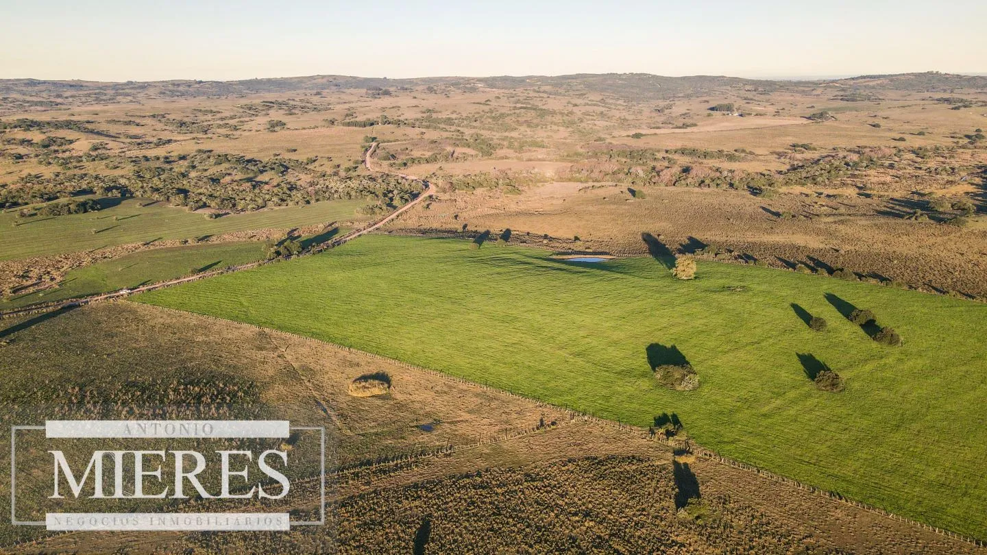 Campo en venta de 20 ha con costa al arroyo José Ignacio — foto 17