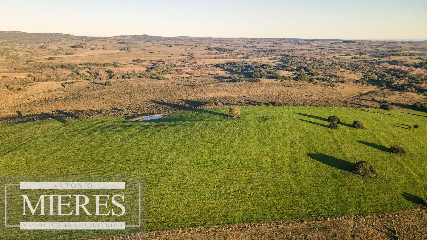 Campo en venta de 20 ha con costa al arroyo José Ignacio — foto 18