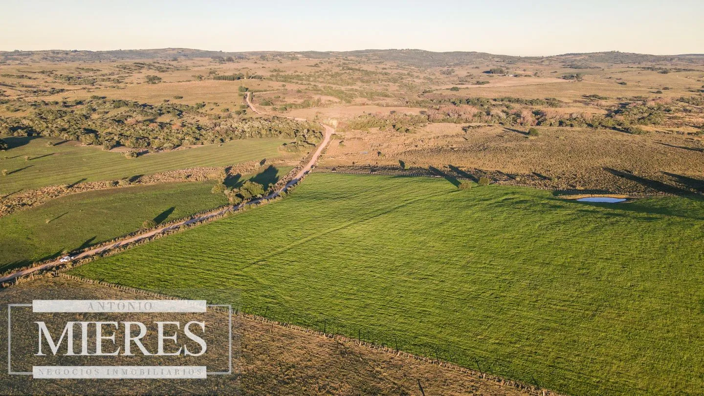 Campo en venta de 20 ha con costa al arroyo José Ignacio — foto 20