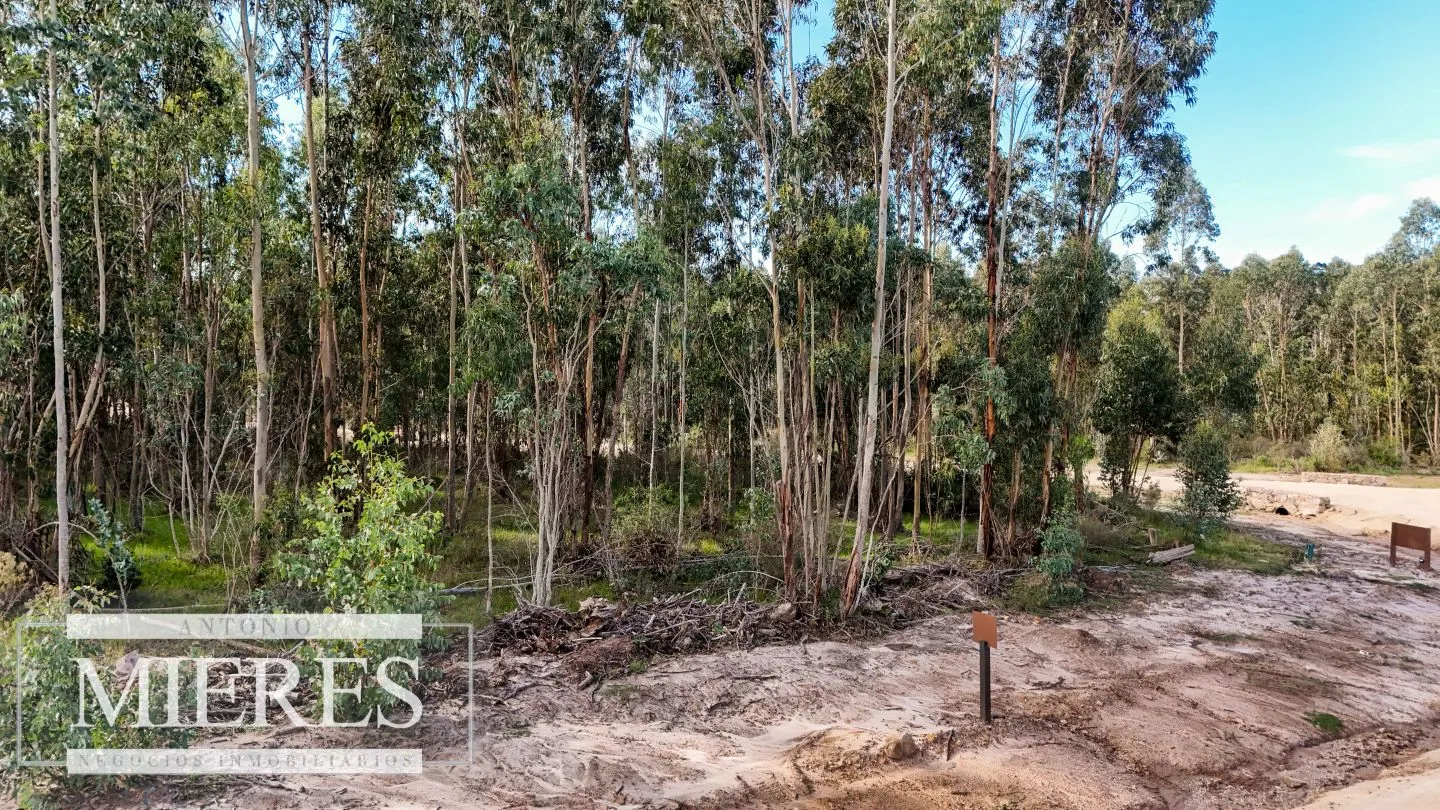 VENTA LOTE 4000mts2 en Barrio Privado — foto 5