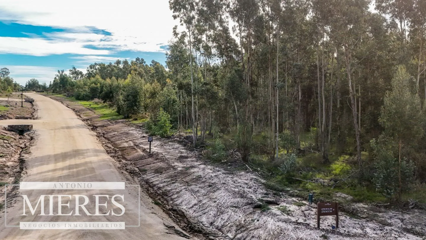 VENTA LOTE 4000mts2 en Barrio Privado — foto 6