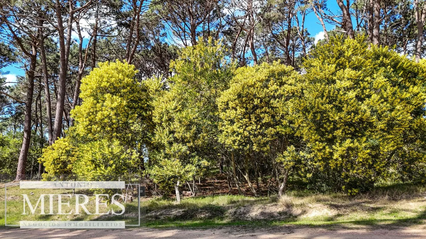 TERRENO EN VENTA EN RESERVA MONTOYA — foto 2