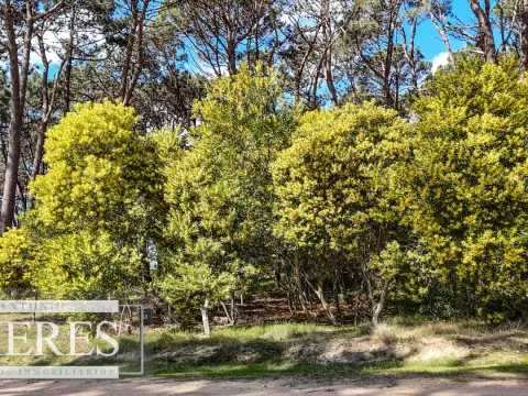 TERRENO EN VENTA EN RESERVA MONTOYA — foto 2