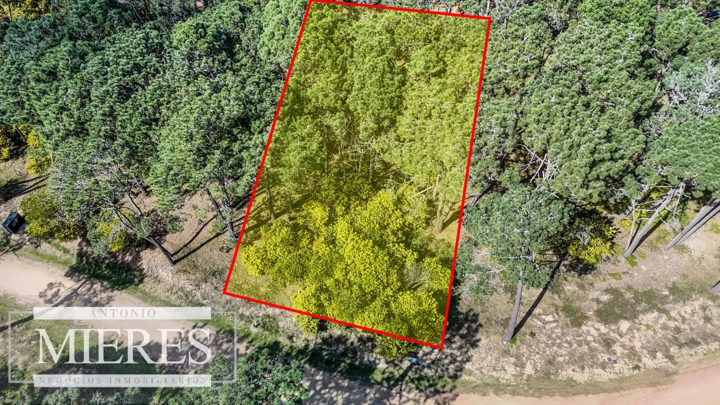 TERRENO EN VENTA EN RESERVA MONTOYA — foto 3