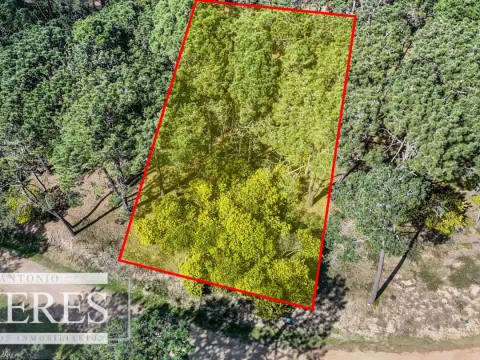 TERRENO EN VENTA EN RESERVA MONTOYA — foto 3